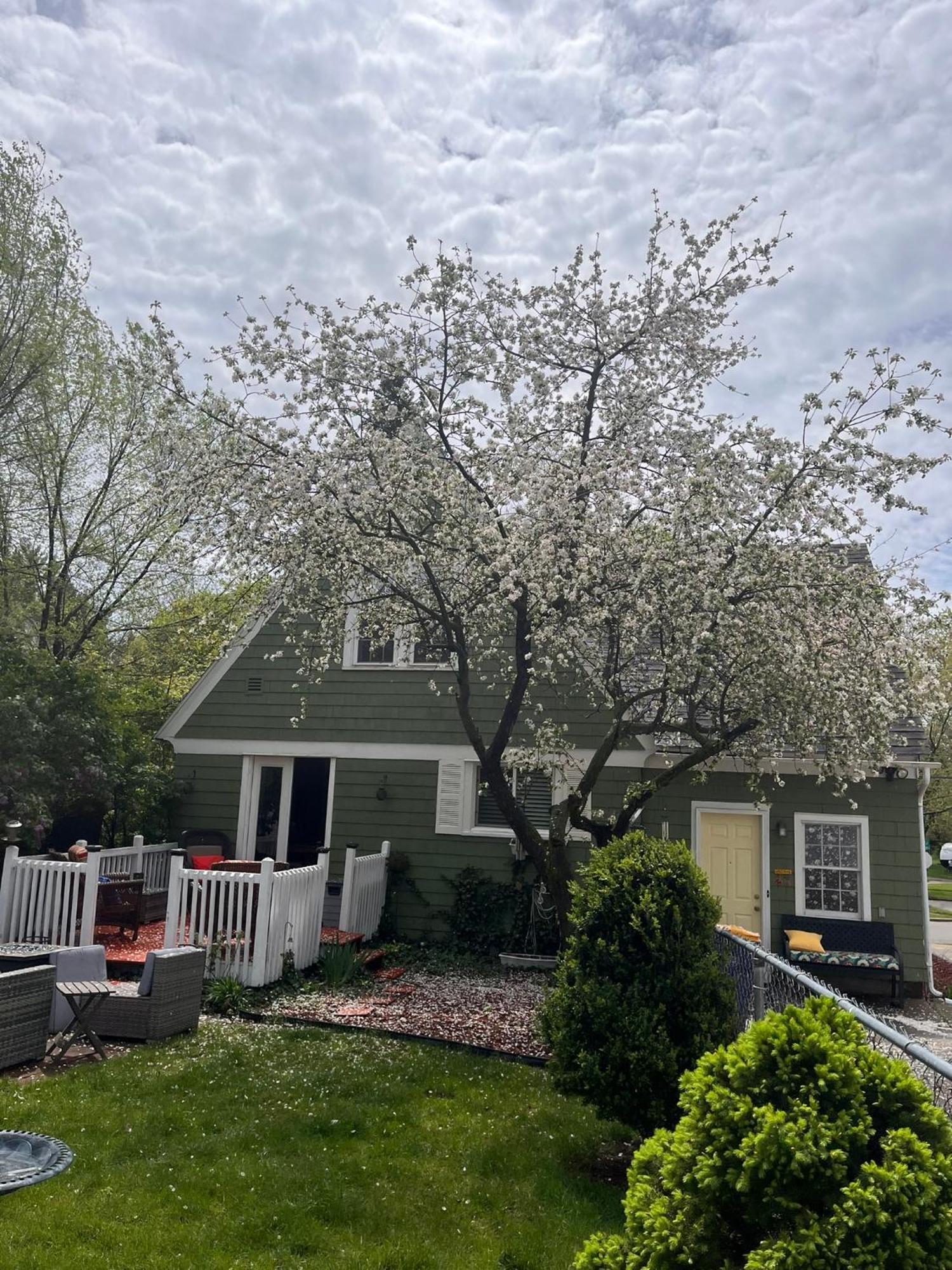 Villa Cozy Cape Cod Grand Rapids Exterior foto